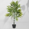 Vazoninis augalas Drzewko bambusowe 5194 120 cm