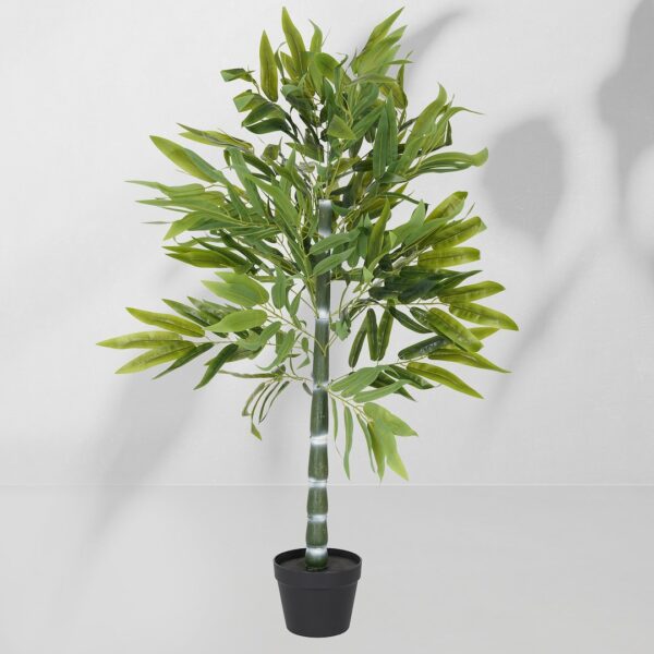 Vazoninis augalas Drzewko bambusowe 5194 120 cm