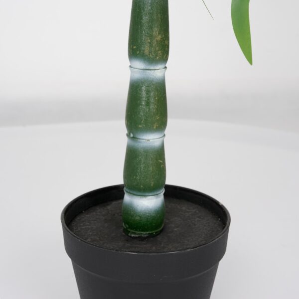 Vazoninis augalas Drzewko bambusowe 5194 120 cm