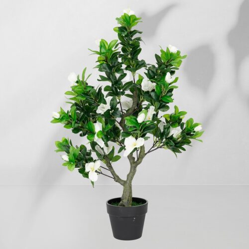 Vazoninis augalas Jaśmin 5222 75 cm