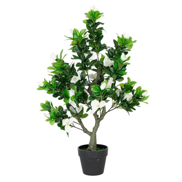 Vazoninis augalas Jaśmin 5222 75 cm