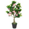 Vazoninis augalas Azalia 5227 55 cm