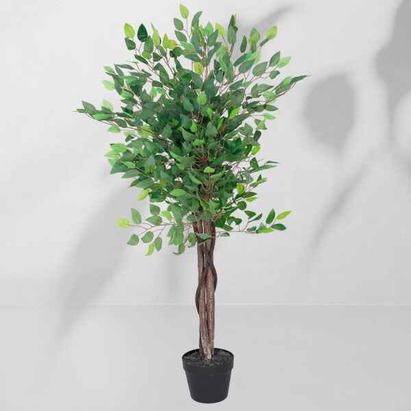 Vazoninis augalas Drzewko figowca 5235 130 cm