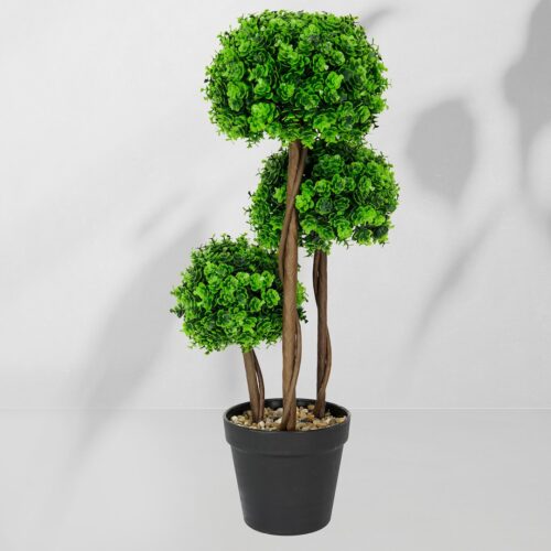 ekkw2704a Vazoninis augalas Drzewko topiary 5244 50 cm