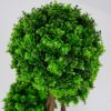 Vazoninis augalas Drzewko topiary 5244 50 cm