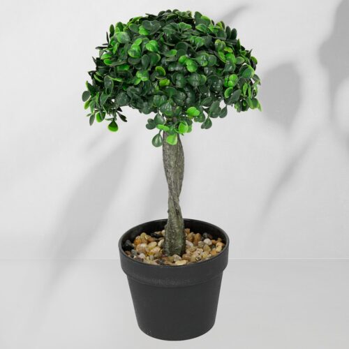 Vazoninis augalas Drzewko bukszpanowe 5287 28 cm