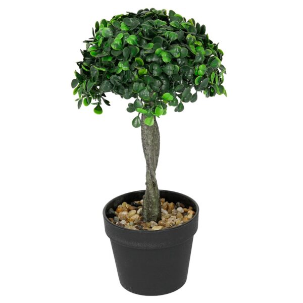 Vazoninis augalas Drzewko bukszpanowe 5287 28 cm