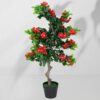 Vazoninis augalas Drzewko hibiskusa 5350 90 cm