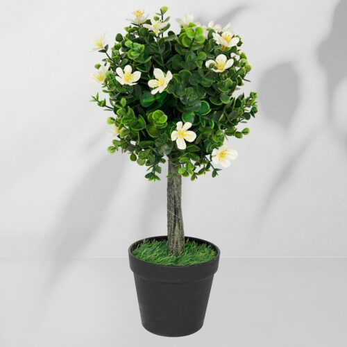 Vazoninis augalas Drzewko bukszpanowe 5517 40 cm