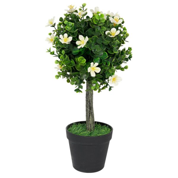 Vazoninis augalas Drzewko bukszpanowe 5517 40 cm