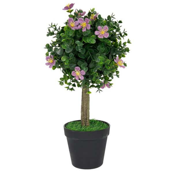 Vazoninis augalas Drzewko bukszpanowe 5514 40 cm