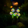 Saulės lempa Garlic Color RGB IP44