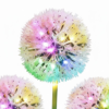 Saulės lempa Garlic Color RGB IP44