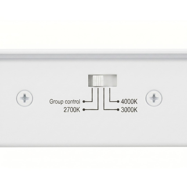 Slim Magnetic Track Baltas tube 6W LED Tuya CCT 48V