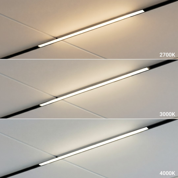 Magnetic Track line 5mm 10W CCT 48V