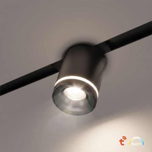 Magnetic Track 10mm Downlight 6W CCT 48V