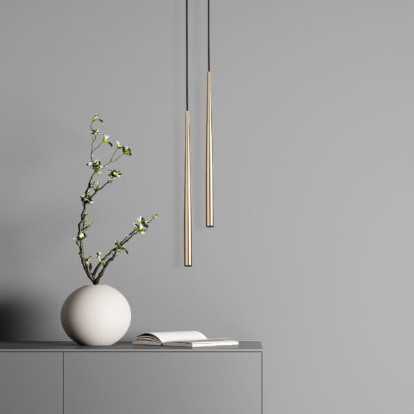 Stylish modern interior room at elegant apartment with plant and Pakabinamas šviestuvas Piano Black Gold 1