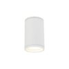 10584_FLARE_WHITE_O Lubinis šviestuvas Flare White GU10
