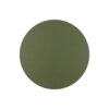 10957_LUNA_GREEN_A Sieninis šviestuvas Luna Green 300