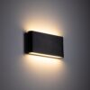 18185_ARWENA_M_B1 Sieninis LED šviestuvas Arwena M Black IP54