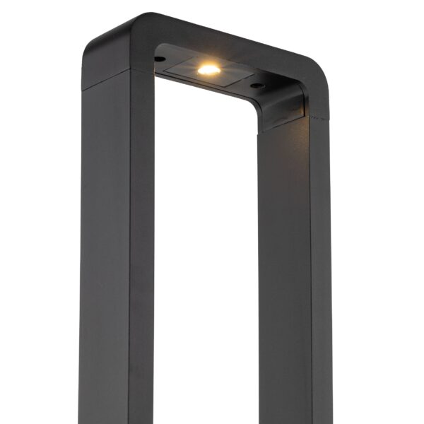 19001_ARIUS_L_O Pastatomas LED šviestuvas Arius L Black IP54