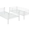 BUNKY bunk lova, balta
