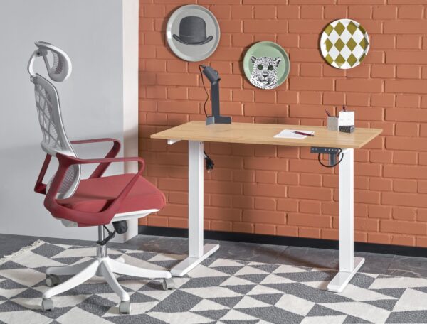 B53 rašomasis stalas su reguliuojamas aukštis, artisan ąžuolas / balta