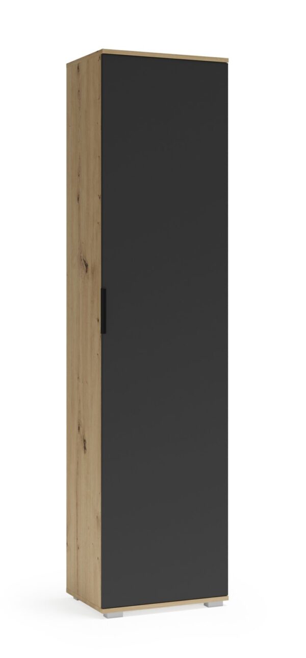 CLIF SL-50 pakabinama spintelė artisan ąžuolas / antracito