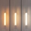 Pakabinamas šviestuvas Trivia auksinis 10W LED CCT IP44