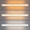Pakabinamas šviestuvas Trivia auksinis 16W LED CCT IP44