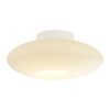 Lubinis šviestuvas Robin 14W LED