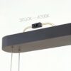 Pakabinamas šviestuvas Saturno 30W LED CCT juodas